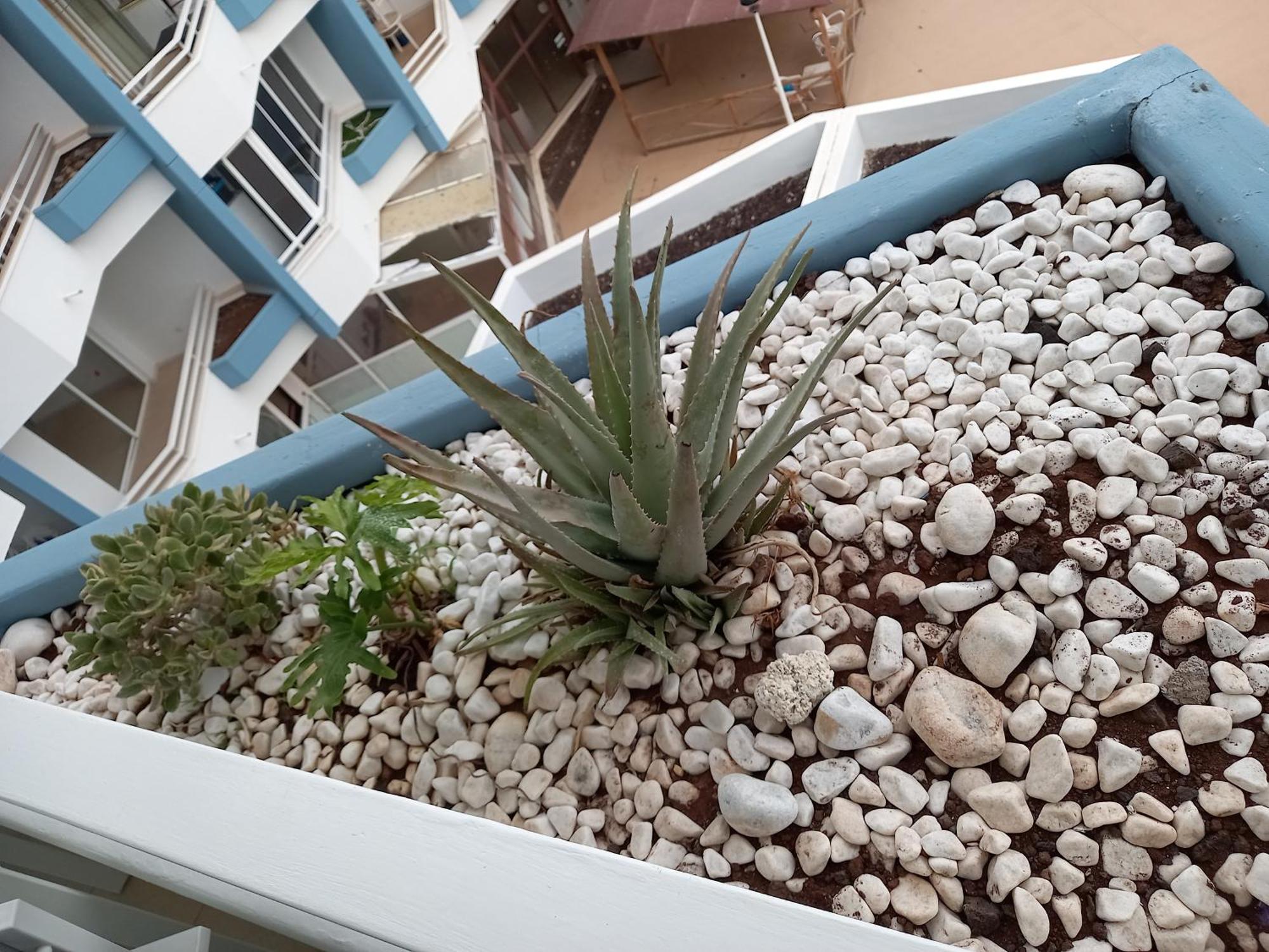 Cousy Holiday Apartment In Sunny Golf Del Sur San Miguel de Abona Esterno foto